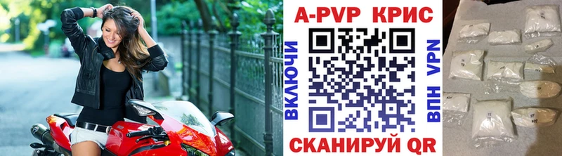 A PVP СК КРИС  Ярославль 