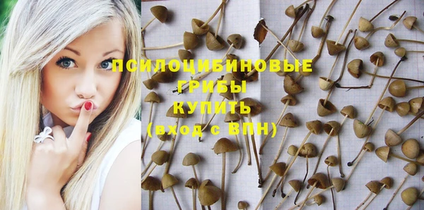 спиды Абинск