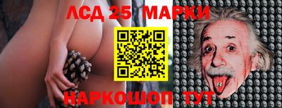 ПСИЛОЦИБИНОВЫЕ ГРИБЫ Можга