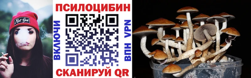 дарнет шоп Ярославль Псилоцибиновые грибы Psilocybine cubensis