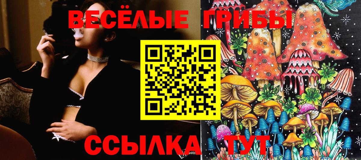 Ярославль  Псилоцибиновые грибы GOLDEN TEACHER  Вход с VPN 